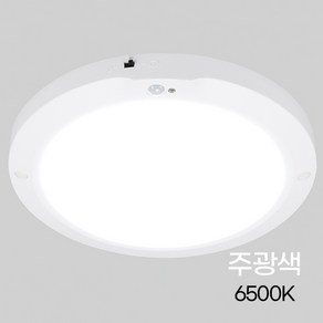 비츠온 원형 LED 센서등 엣지 10인치 20W, 주광색, 1개