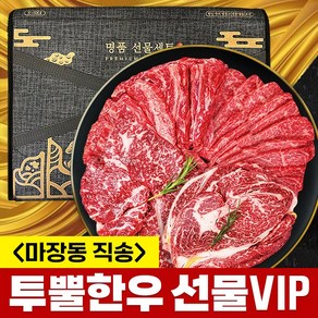 마장동직송 최고급 한우 1++ 투뿔 선물세트 VIP, 1세트