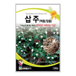 모칸도 세계종묘 민속채소씨앗 삽주 (백출/창출) 100립, 1개