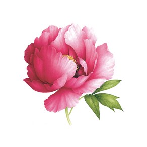 태틀리 Pink Peony 향기 타투스티커 페어 2매, 단품, 단품