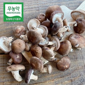 청정금산 친환경 표고버섯 농장직송, 1개, 생표고 하품 1kg