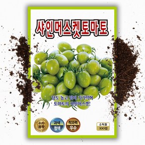 고당도 그린 대추 토마토씨앗 100립 녹색 방울토마토씨앗 종자, 1개