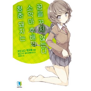 청춘 돼지는 소악마 후배의 꿈을 꾸지 않는다, 디앤씨미디어