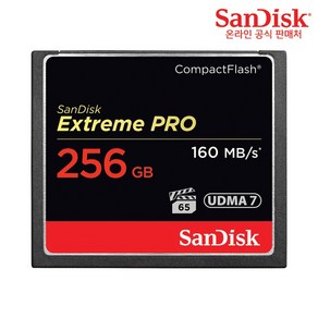 샌디스크 익스트림 프로 CF카드 SDCFXPS, 256GB, 1개