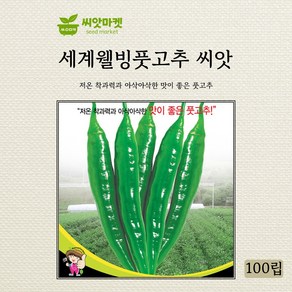 세계종묘 풋고추 씨앗 세계웰빙 100립, 1개