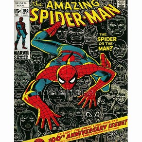 Mini Poster 40x50Cm 인테리어 포스터 - 스파이더 맨 Spider Man: Cover [Mini]