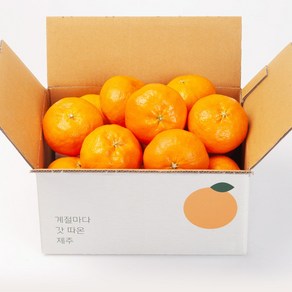 깨비농원 제주 레드향 2kg, 1박스, 2kg 중과(9-12과)