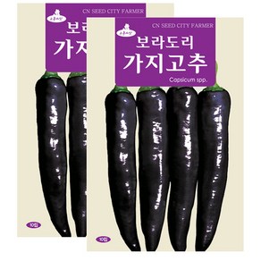 세인화분 보라도리 가지고추 10립 - 고추씨 고추씨앗, 2개