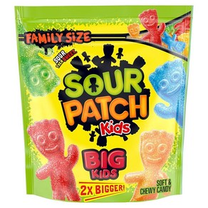 SOUR PATCH KIDS 젤리 99g 3.5oz 12개입 총1.2kg 135198, 1.2kg, 1개