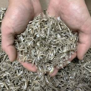 [삼대원] 국내산 지리가이리멸치 세멸치 반찬용멸치, 1개, 1.5kg