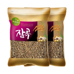 현대농산 국산 흑보리 10kg (5kgx2봉) 검정찰보리, 2개, 5kg