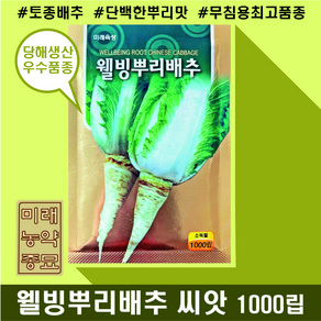 웰빙 뿌리배추 씨앗 1000립- 내병성 강한품종 단백한 뿌리맛, 1개