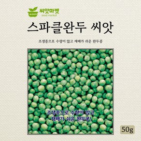 KS종묘 스파클완두콩 씨앗 50g, 1개