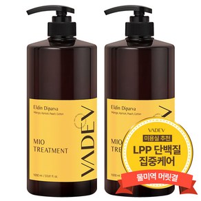 바디브 헤어 트리트먼트 1000ml 대용량 미용실 단백질 헤어팩 LPP 극손상 복구 손상모 엘딘디파르바향, 1L, 2개