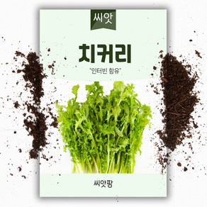 치커리씨앗 (1500립) 쌈채소씨앗