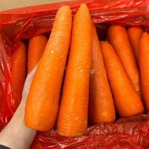 [당일출고]세척당근 가성비 주스용 업소용 요리용 5kg 10kg 판매 달담, 1개