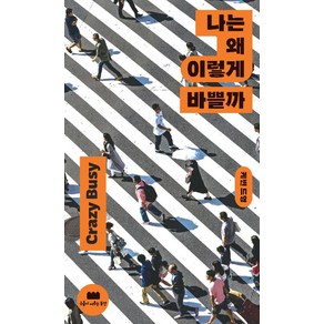 나는 왜 이렇게 바쁠까 - 미친 듯이 바쁜 삶을 사는 당신에게