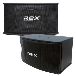 금영 태진 노래방 헬스장 스피커 25cm 우퍼 노래방 REX 스피커 RX-100, 노래방스피커 RX-100