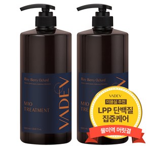 바디브 헤어 트리트먼트 1000ml 대용량 미용실 단백질 헤어팩 LPP 극손상 복구 손상모 베이베리오차드향, 1L, 2개