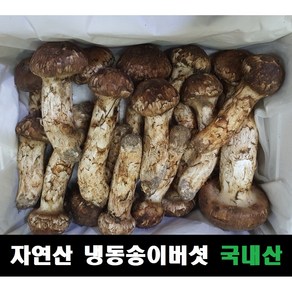 송이버섯 자연산 냉동 국내산, 1등급 1kg, 1개