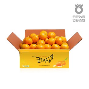 [제주 중문농협] 귤로장생 감귤 대과 2.5kg