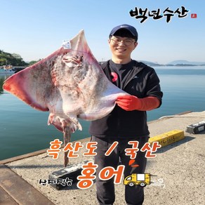 목포백년수산 흑산도홍어 국산홍어회 삭힌홍어250g 500g 1kg이상 (홍어애+홍어뼈+무료배송), 국산홍어500g중, 1개