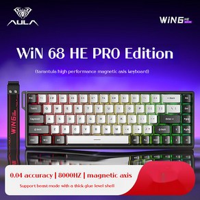 WIN60 HE 게이밍 키보드 E 스포츠 마그네틱 스위치 8K 폴링률 동적 RGB 0 01mm RT 지지대 DKS SOCD MT, Magnetic Switch, WIN68He Po