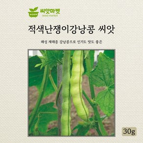 아람종묘 적색난쟁이 강낭콩 씨앗 30g, 1개