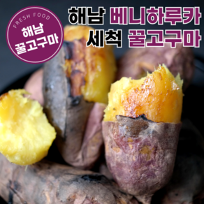 [참싱싱농장] 꿀뚝뚝 해남 베니하루카 세척꿀고구마, 꿀뚝뚝 특상, 1개, 1kg