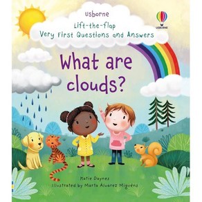 Fist Lift-the-Flap Questions and Answes : What ae Clouds?, 어스본코리아