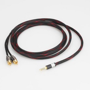 Audiocast-고품질 4.4mm 5 극 수 밸런스드 to 2RCA 업그레이드 케이블 pha2a wm1a 1z zx300a 용, 02 4.4mm to RCA