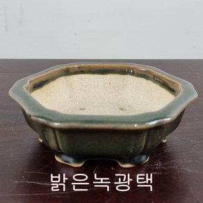 6. 손바닥정원 정육각꽃분 분재화분 승전분, 붉은혼합