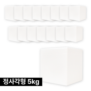 아이스박스 냉동식품 택배 스티로폼박스 5호 정사각형, 16개, 흰색 5kg