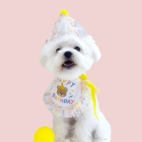 하피블리 강아지 고깔 생일 파티 용품 고양이 생일상, 1개