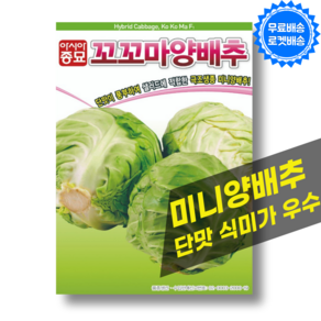 미니 양배추 씨앗 100립 단맛이 풍부하며 아삭한 맛 양배추 씨 종자