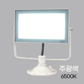 비츠온 LED 투광등 50W 간판 및 작업용, 21개