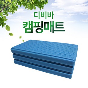 디비바 캠핑매트 대형 200x240 (가방포함), y01_블루