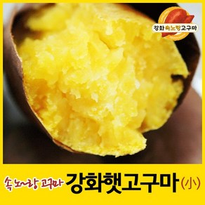 2024년 강화속노랑고구마 강화도호박고구마 햇고구마 [소(한입)크기] 5kg 10kg 선택.