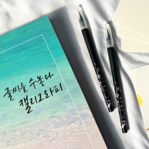 글씨를수놓다 캘리그라피 숙련자 세트 독학 연습 책 교본 글씨체 배우기 펜 붓펜