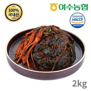 [여수농협] 여수돌산 고들빼기 2kg, 1개