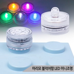 마리모 블럭어항 LED 미니조명 3종 DIY 소형 전구, 1개