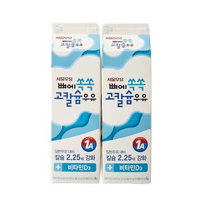 서울 뼈에쏙쏙 고칼슘우유 930MLx2입 1개 (신선식품), 선택2 - 아이스박스, 2개, 930ml