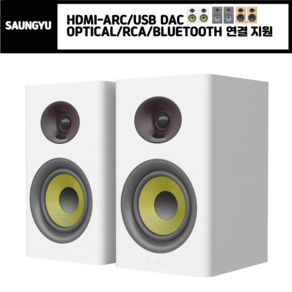 SAUNGYU 2채널 100W 4인치 DAC USB Hi-Fi 앰프내장형 ARC지원 블루투스 북쉘프 스피커 리모컨, BK4020D, B화이트