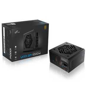 FSP VITA GM 1000W 80PLUS Gold ATX 3.1 파워서플라이