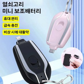 초미니보조배터리 대용량미니 고속보조배터리, 블랙 Lightning, 1500mAh