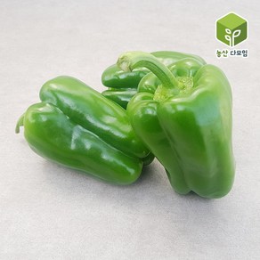 농산다모임 청피망(특) 2kg 5kg 10kg