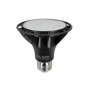 DS 더뷰 파30 램프 LED 15W PAR30 집중형 조명, 전구색, 1개