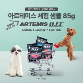 아르테미스 히트독 포피쉬 체험팩 강아지 사료 샘플모음, 라지바이트, 3세트, 85g