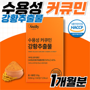 2세대 수용성 커큐민 강황추출물 식약처 HACCP 인증 하이드로 커큐민, 1개, 60정