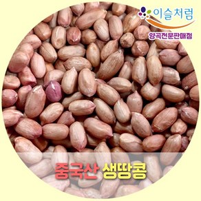 이슬처럼 중국산 생땅콩 햇땅콩 (2024년산), 5kg, 1개